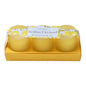 Sicilian Orchard S/3 Mini Votives with Lemon Grove Scent