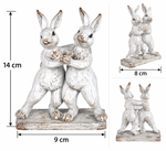 Boogieing Bunnies