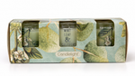 Set of 3 Votive Candles - Mint Leaf & Eucalyptus