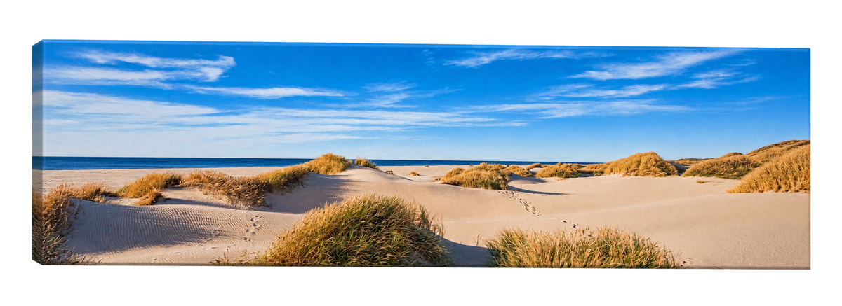 Panoramic Beach Dunes Wall Art