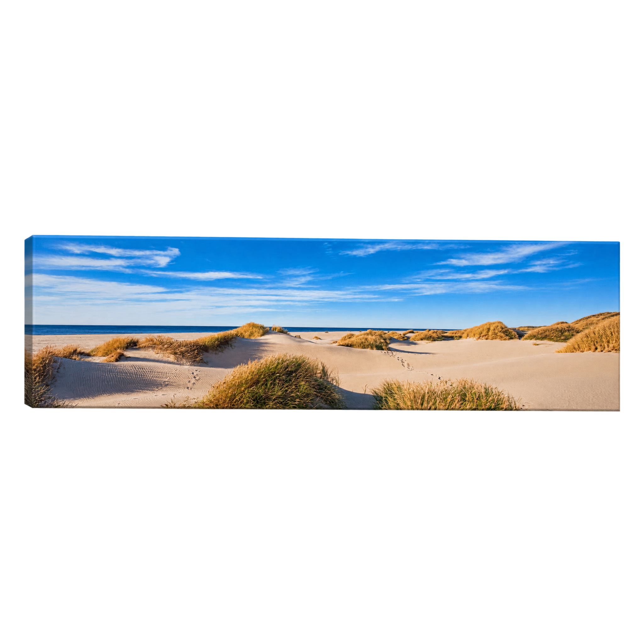 Panoramic Beach Dunes Wall Art