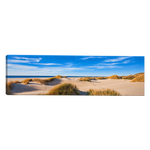Panoramic Beach Dunes Wall Art