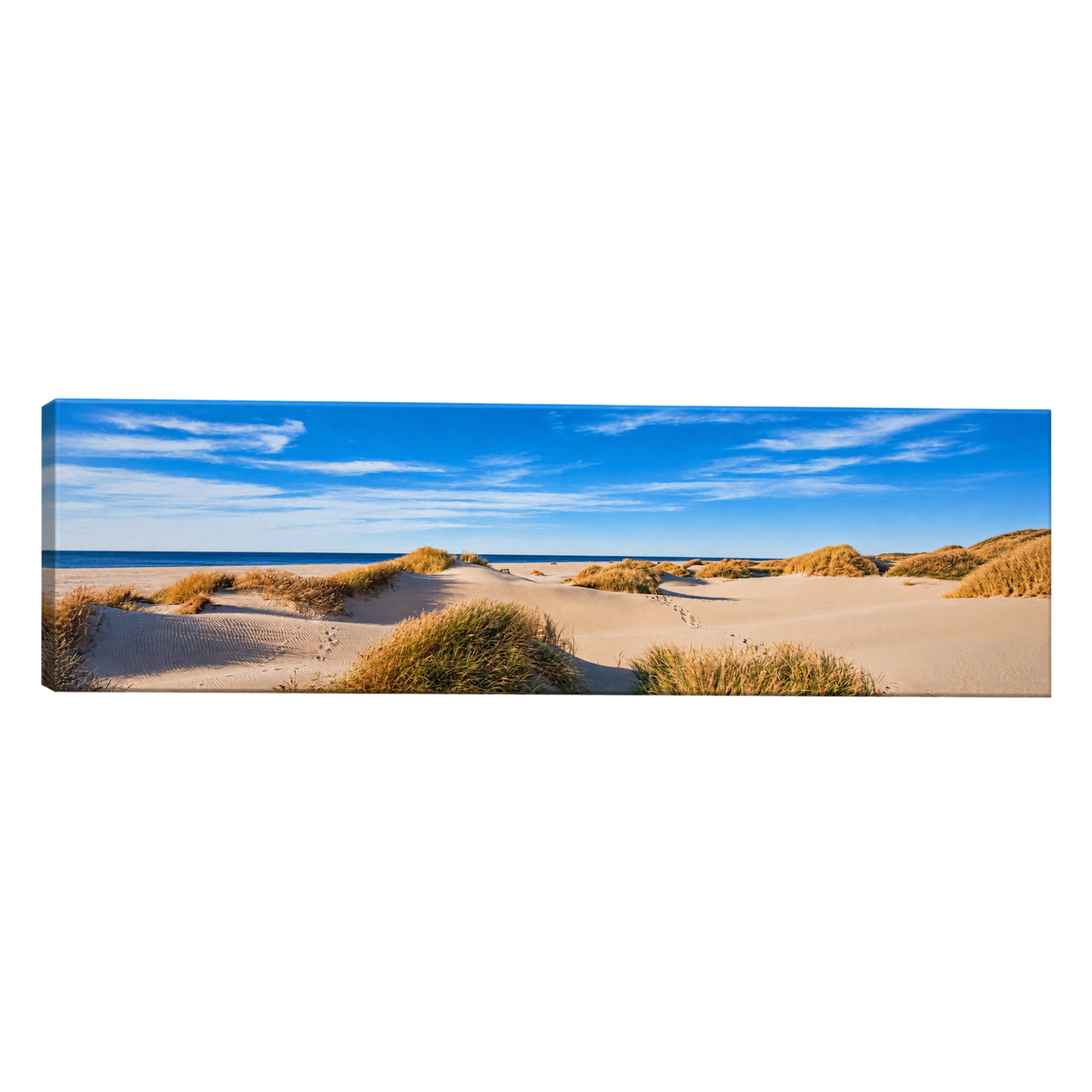 Panoramic Beach Dunes Wall Art