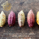 Orange & Almond. 100% cacao. No Added Sugar. Vegan. 50g bar