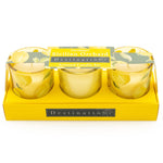 Sicilian Orchard S/3 Mini Votives with Lemon Grove Scent